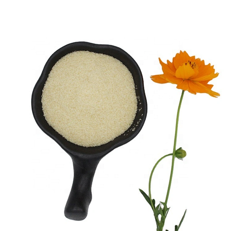 Hot Sell Food Thickener Light Color Granule Gelatin edible grade gelatin china